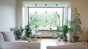 Guide to Apartment Gardening – Summit Properties.